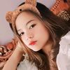 dewi_41n1329