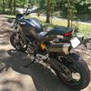 ducatimonstervr46