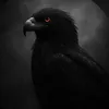 eaglemotivation85