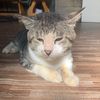 itsmeow98