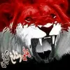userfh4o624n2e