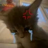 Nhân 🥀🥀