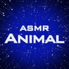 Animal ASMR