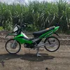 greenhurny