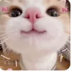 jar_edit4.7