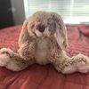 funny_pinky_toes
