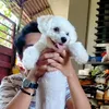 slider_kk