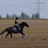 lotti_11_