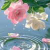 user2090779541656