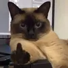 its_yeyeeee