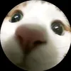 gbao99999
