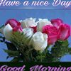 user5574905020843jawla