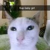mohamedfoued65