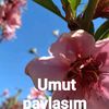 0033.umut_p