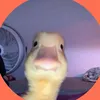 ruslan_bo2956