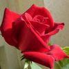 mohammed7abdo1