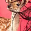 haneen1_96
