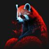 a_golden_panda_on_tiktok