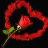aduni.dayo