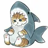 busgato054
