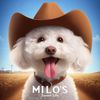 Milo