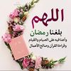 soumeye20
