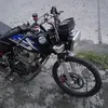 joedensoliva