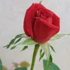 7whdu82vdy