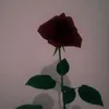 crrrnileptirr0