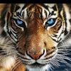 user1181826193061