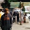 trodol_com