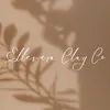 elleveraclayco