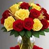 sabeel.rahman0