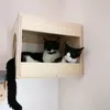 dobby_jack_cats