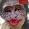 sioeereiei_