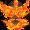 fyfendeavor