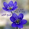 mukhtar512_572