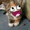 bybaeba