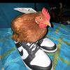 el_matias_1o