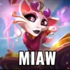 hawk_lolwr