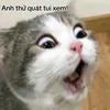 tho.ly.ff