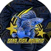 star_fish_aquatic