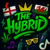 thehybrid6