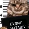 Ivan