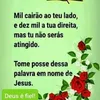 nelci.silva55