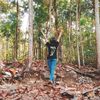nona_jn31