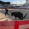 nolan_spkl