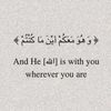 sadia__815