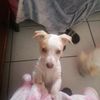 cassey2606