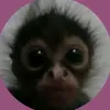 bobrenush_49